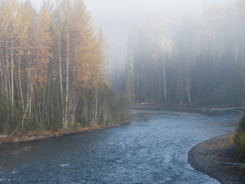 SteelheadOddyssey (28)